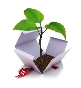 bhv cursus in-company